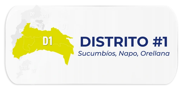 Distrito 1