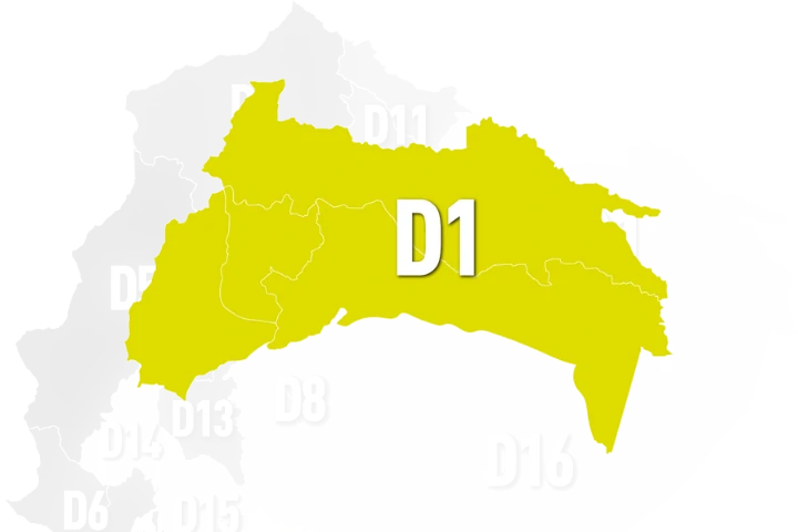 Descripción de la imagen