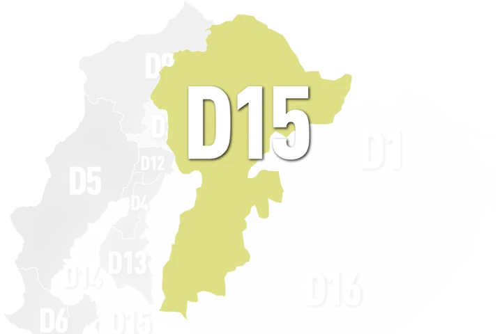 Descripción de la imagen