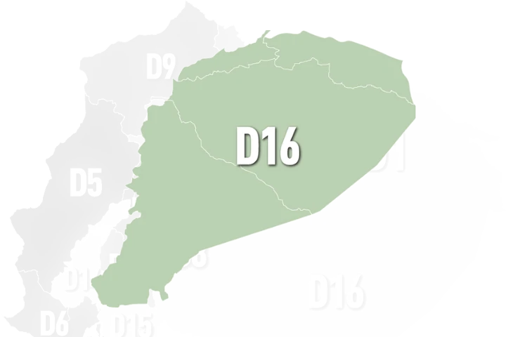 Descripción de la imagen