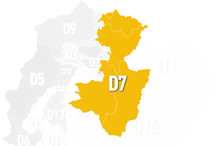 Descripción de la imagen